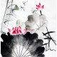 Chinese Lotus Painting - CNAG010187