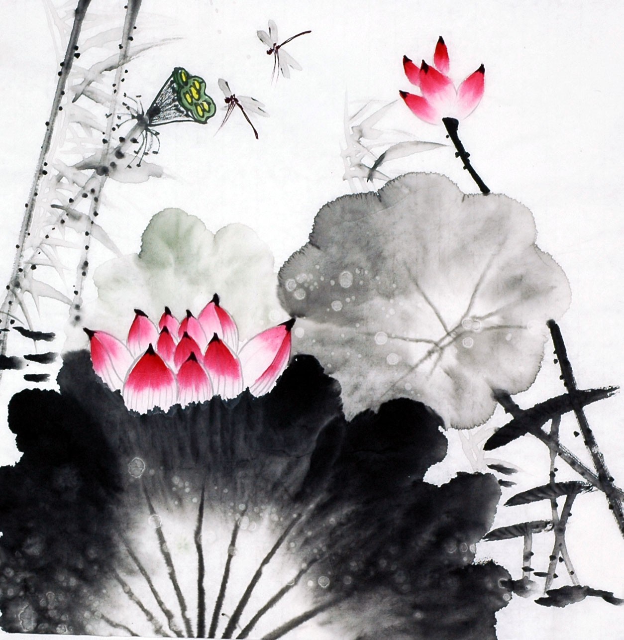 Chinese Lotus Painting - CNAG010196