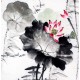 Chinese Lotus Painting - CNAG010198