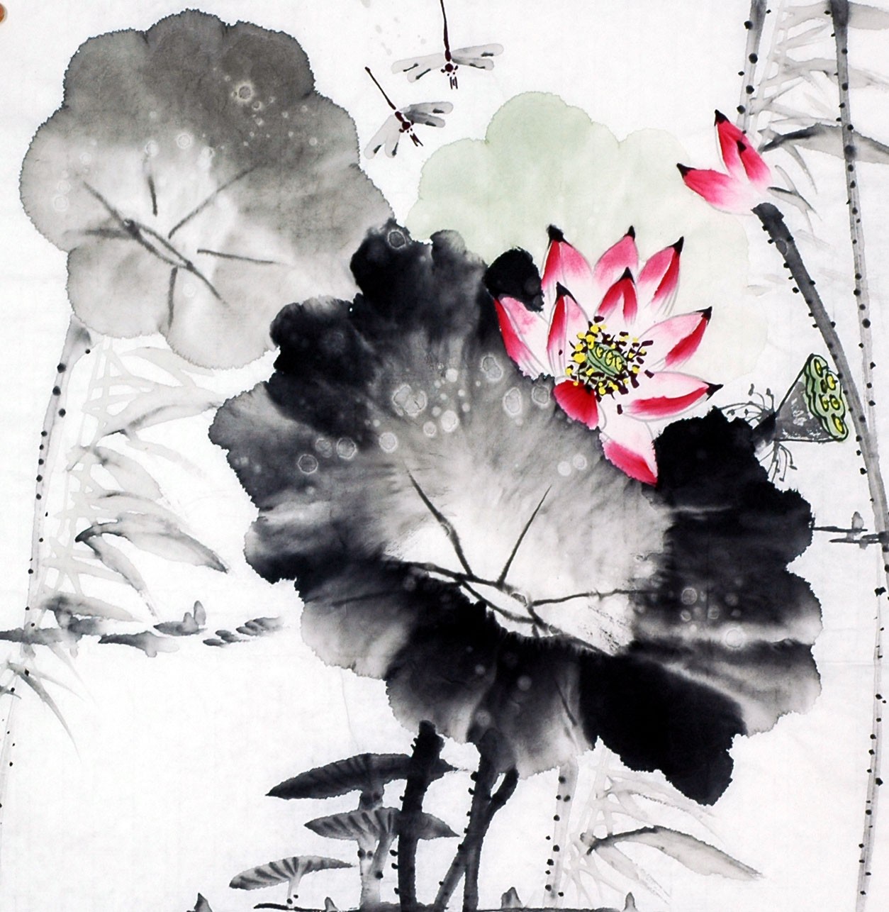 Chinese Lotus Painting - CNAG010198