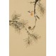 Other Birds - CNAG001011