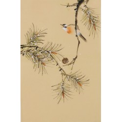 Other Birds - CNAG001011