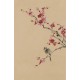 Plum - CNAG001012