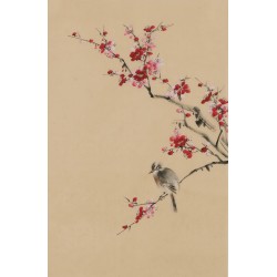 Plum - CNAG001012