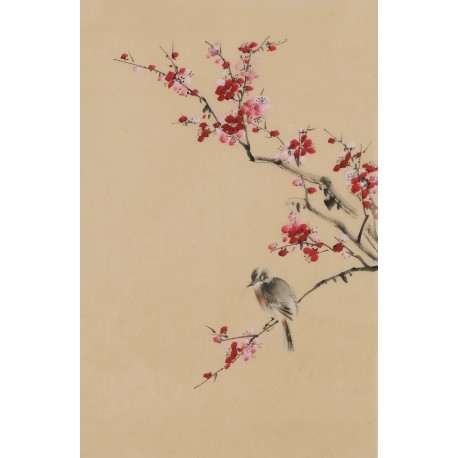 Plum - CNAG001012
