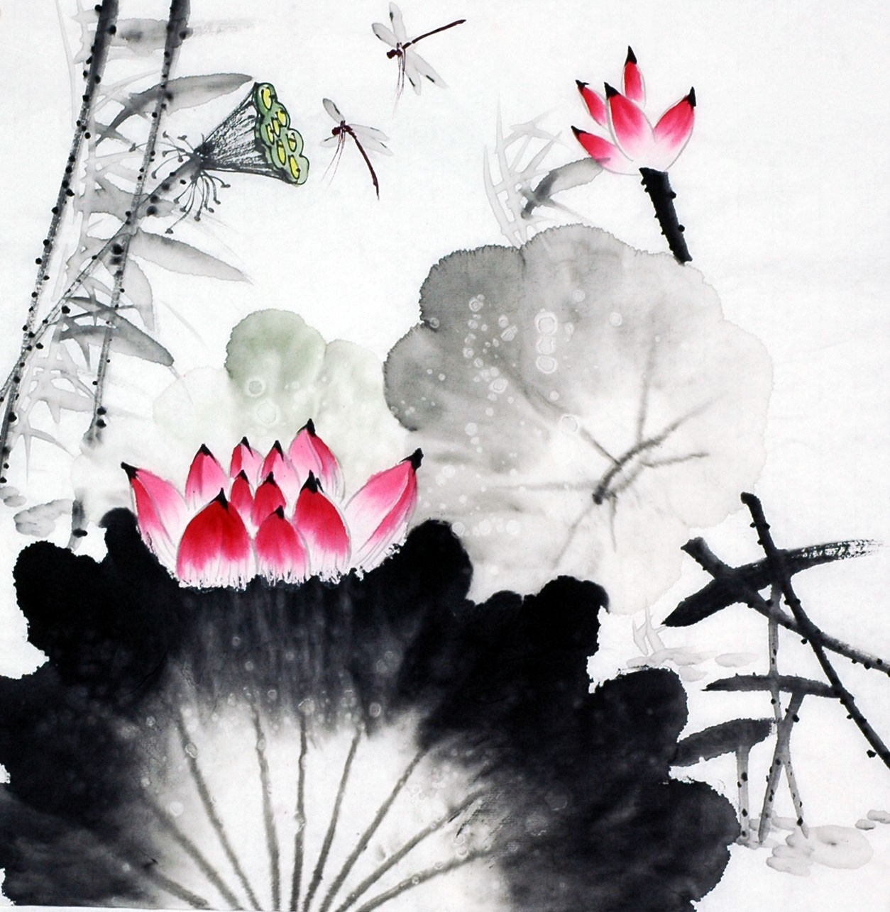 Chinese Lotus Painting - CNAG010215