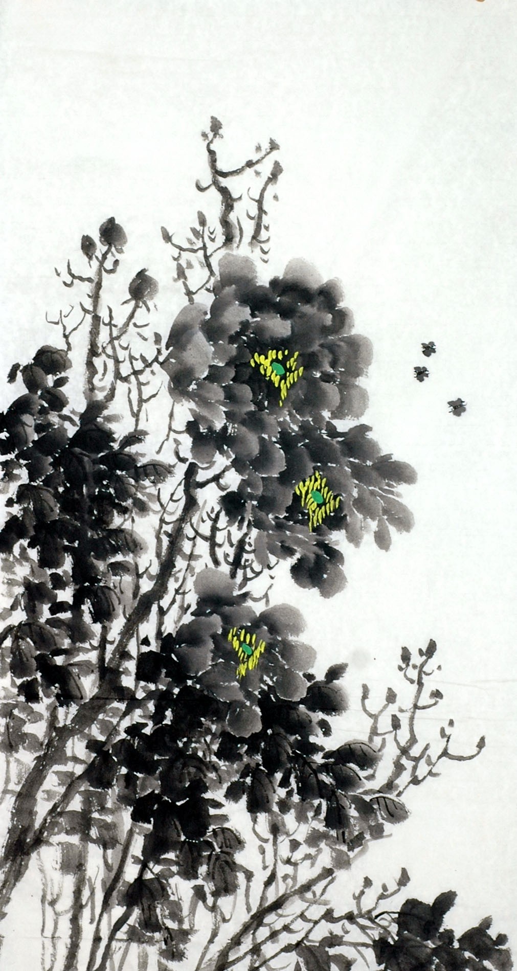 Chinese Peony Painting - CNAG010222
