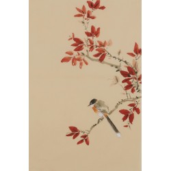 Other Birds - CNAG001013