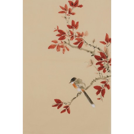 Other Birds - CNAG001013