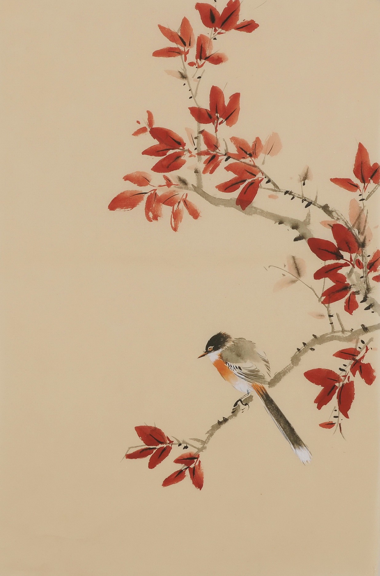 Other Birds - CNAG001013