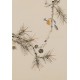 Other Birds - CNAG001014