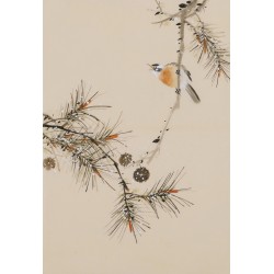 Other Birds - CNAG001014