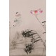 Lotus - CNAG001015