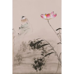 Lotus - CNAG001015