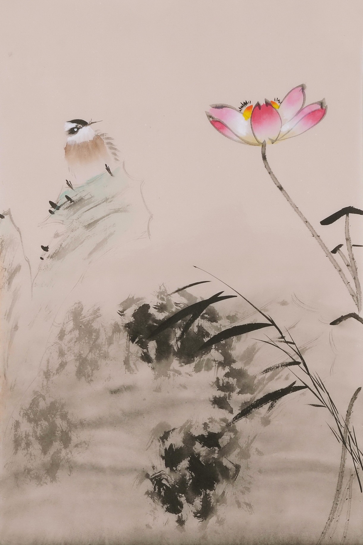 Lotus - CNAG001015
