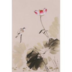 Lotus - CNAG001016