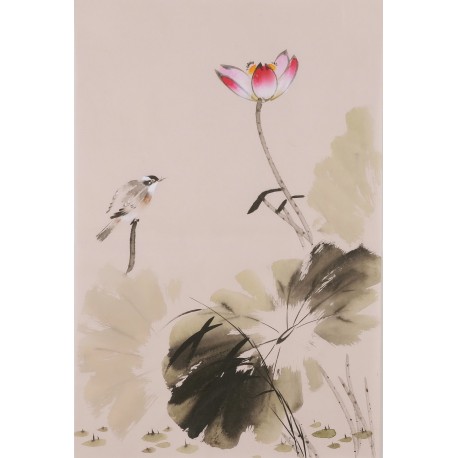 Lotus - CNAG001016