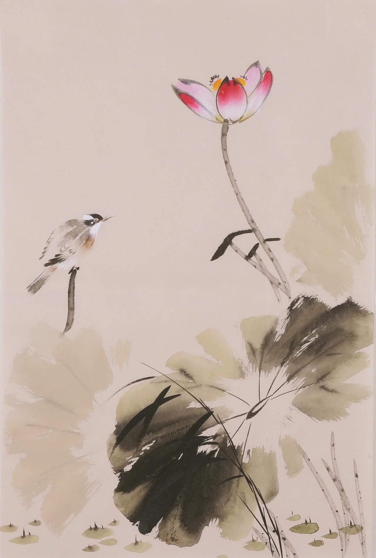Lotus - CNAG001016