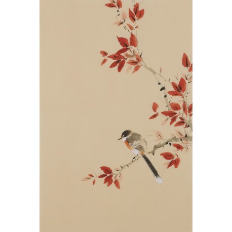 Other Birds - CNAG001019
