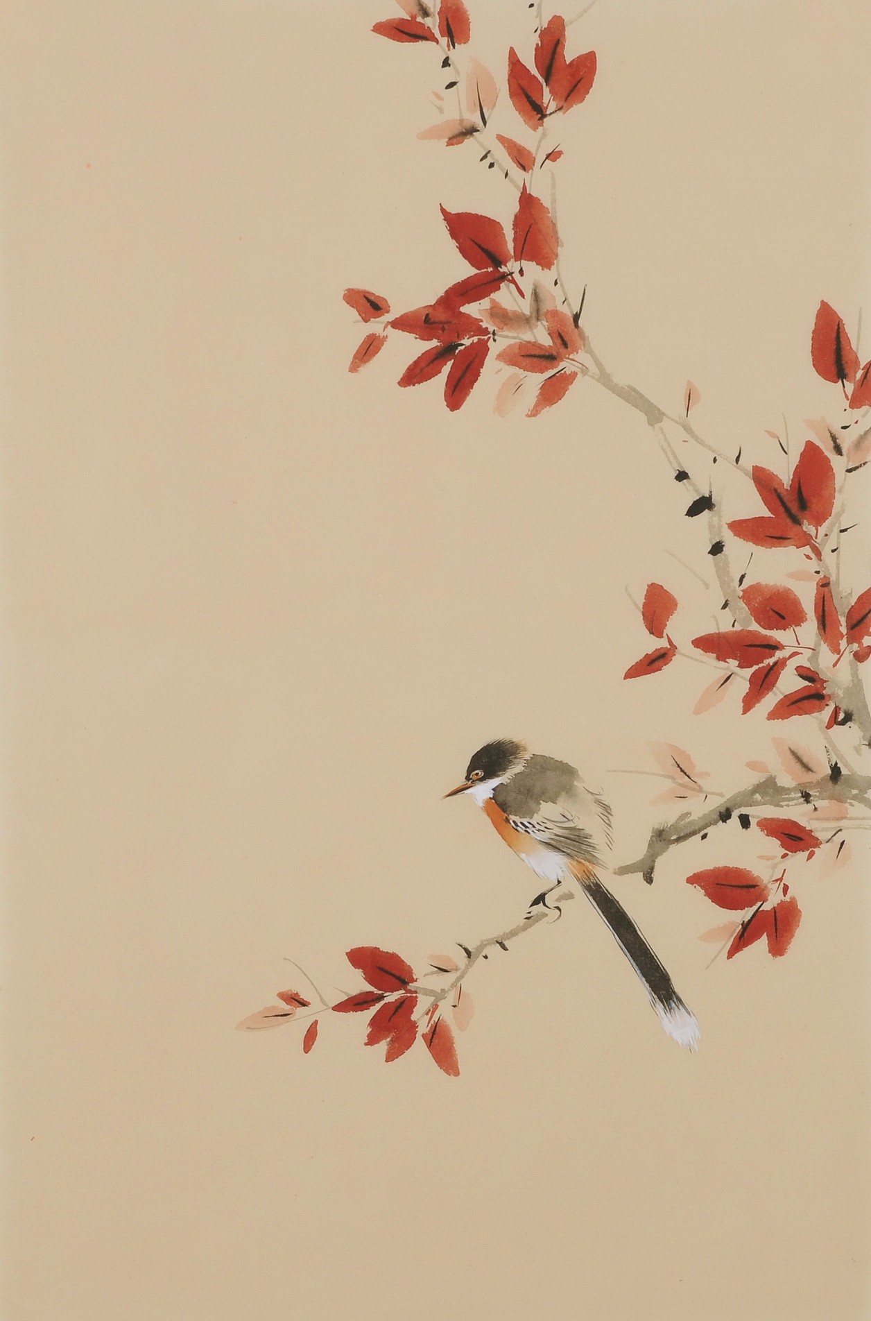 Other Birds - CNAG001019