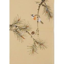 Other Birds - CNAG001020