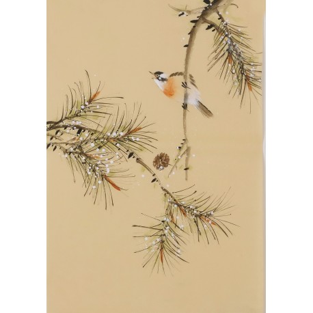 Other Birds - CNAG001020