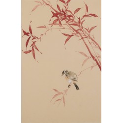 Bamboo - CNAG001021