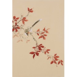 Other Birds - CNAG001022