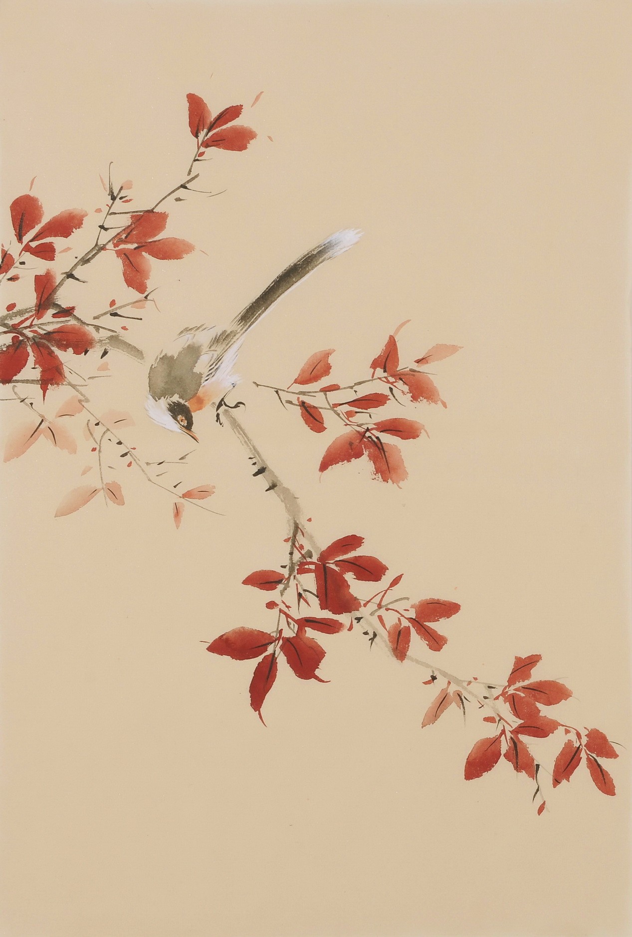 Other Birds - CNAG001022