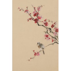 Plum - CNAG001024