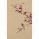 Plum - CNAG001025