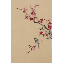 Plum - CNAG001025