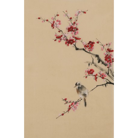 Plum - CNAG001025