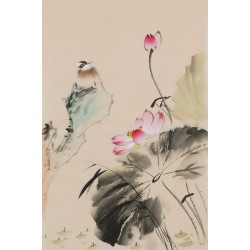 Lotus - CNAG001026