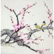 Chinese Flowers&Trees Painting - CNAG010355