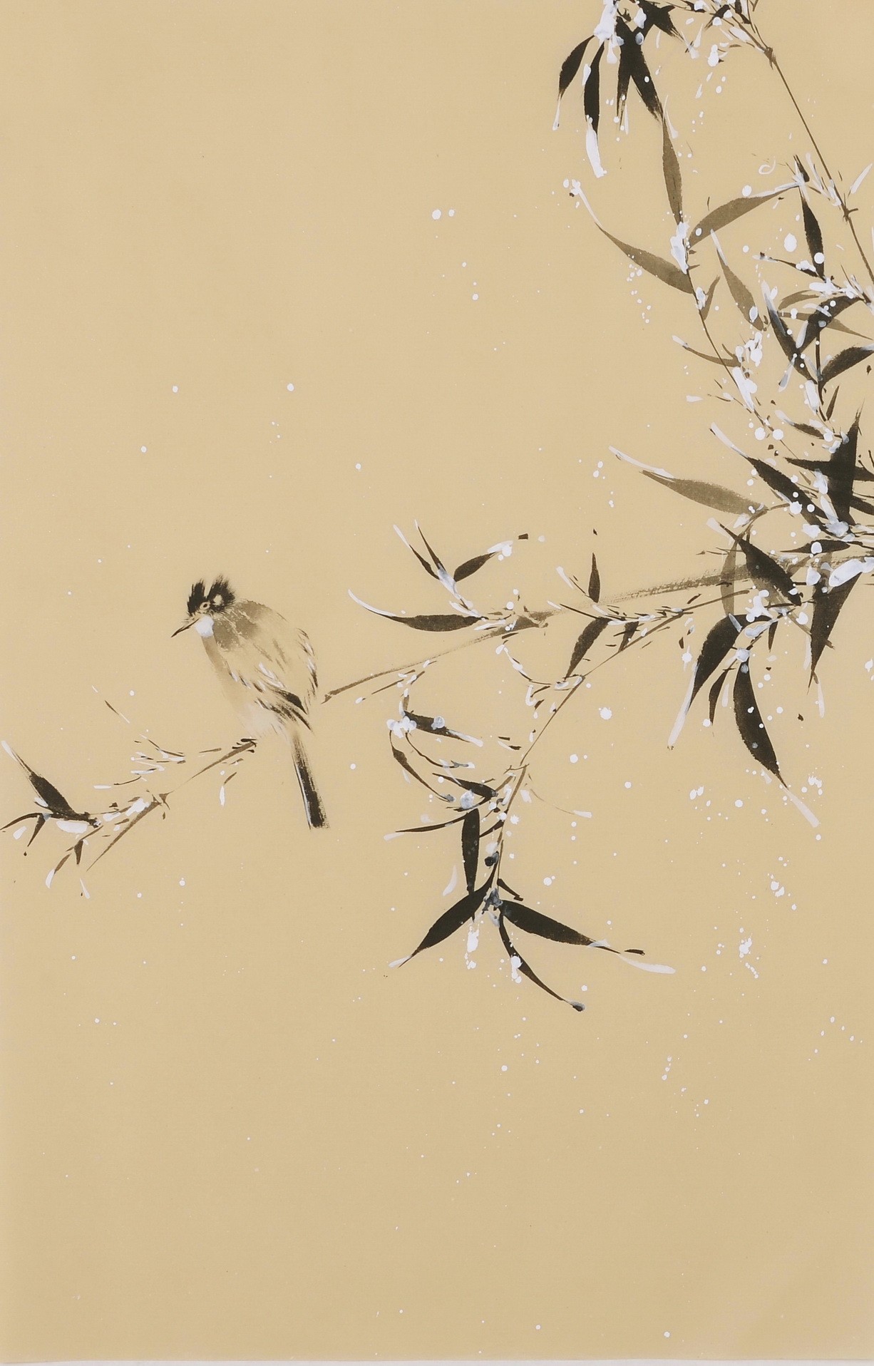 Green Bamboo - CNAG001027
