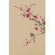 Plum - CNAG001028