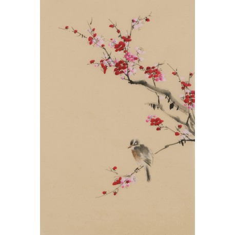 Plum - CNAG001028