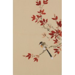 Other Birds - CNAG001030