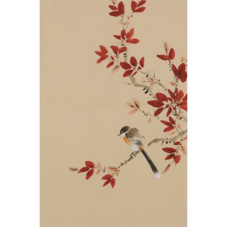 Other Birds - CNAG001030