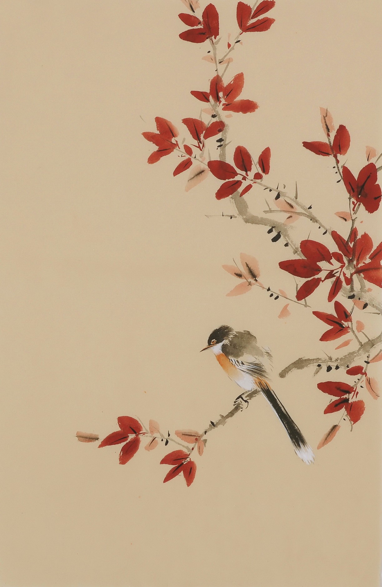 Other Birds - CNAG001030