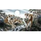 Chinese Tiger Painting - CNAG010407