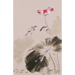 Lotus - CNAG001033