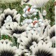Chinese Plum Painting - CNAG010424
