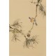 Other Birds - CNAG001034
