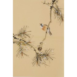 Other Birds - CNAG001034