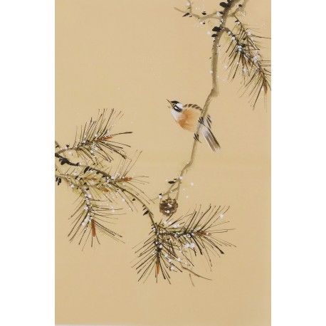 Other Birds - CNAG001034