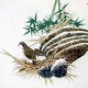 Chinese Plum Painting - CNAG010434