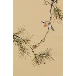 Other Birds - CNAG001035