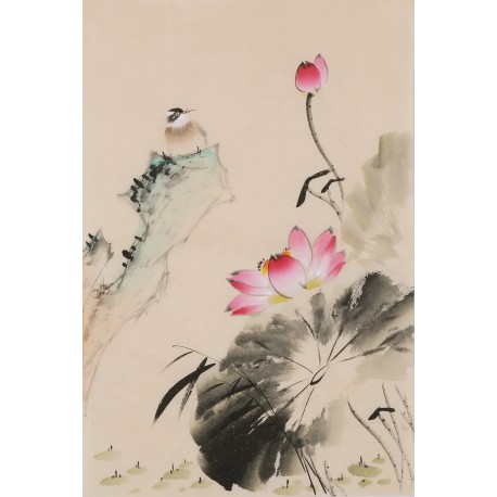 Lotus - CNAG001036